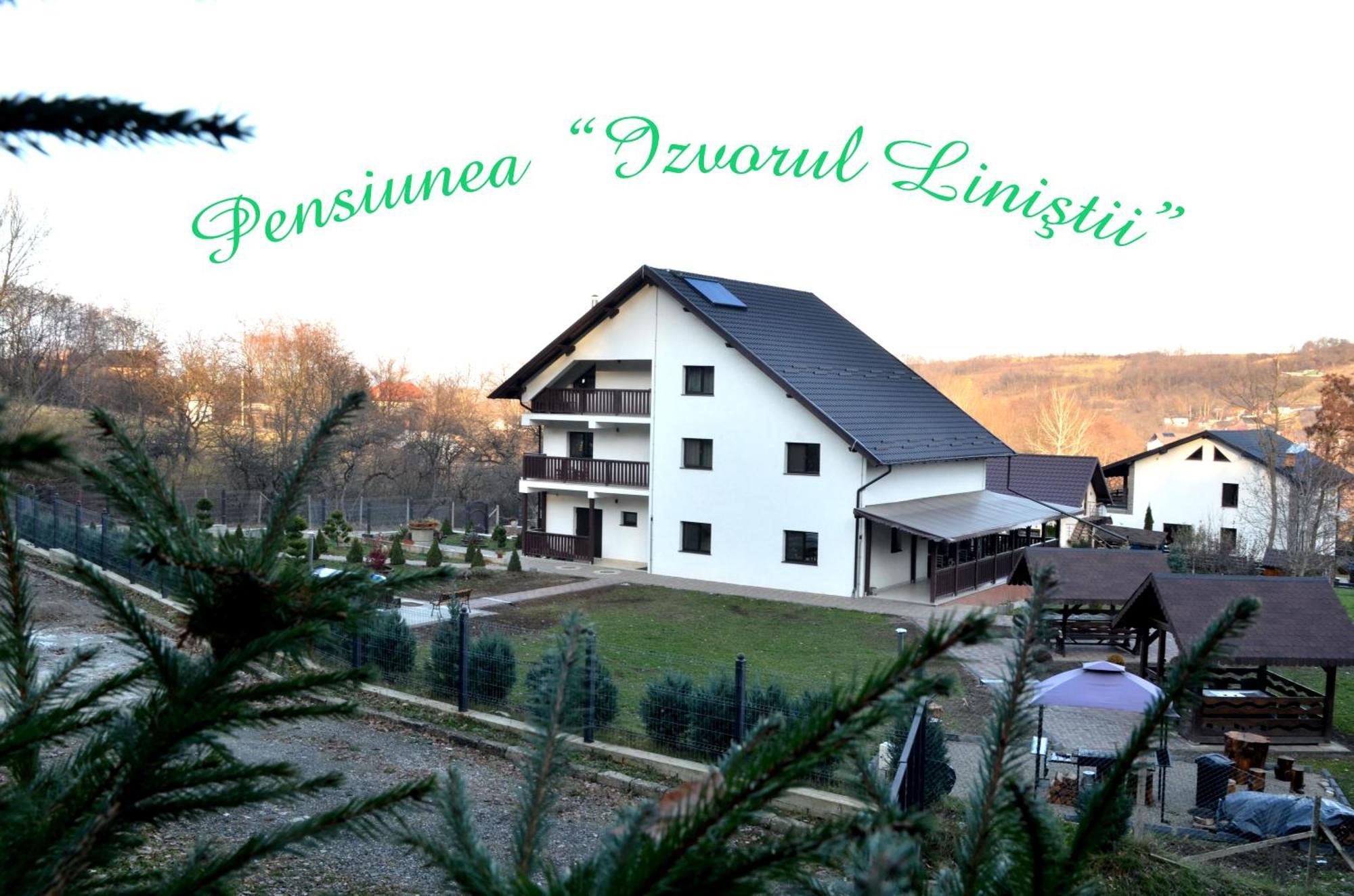 Radaseni Pensiunea Izvorul Linistii מראה חיצוני תמונה